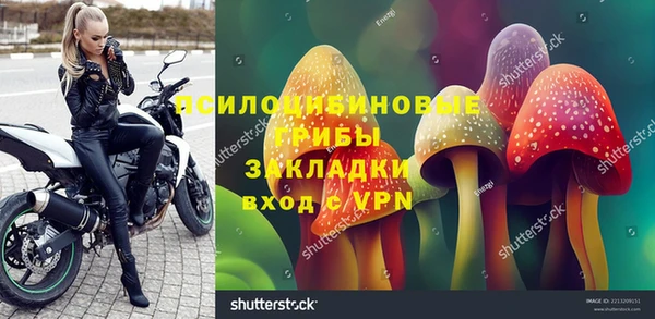 круглые Арсеньев