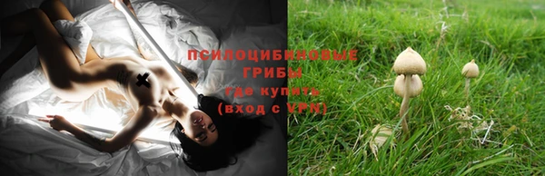 круглые Арсеньев